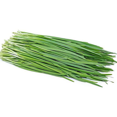 Garlic Chives