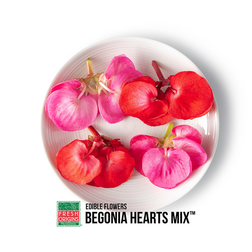 Begonia Heart Flower Mix