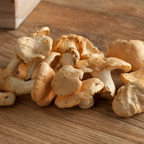 Sweet Tooth Mushroom