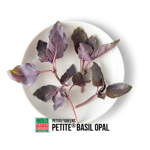 Opal Basil Herb