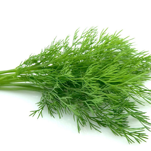 Organic Dill