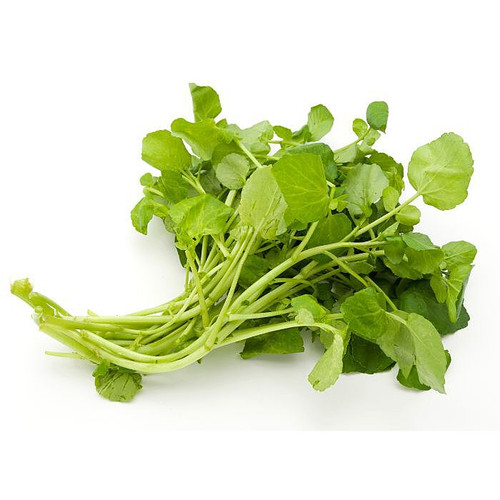 Watercress Bunch Watercress Bunch