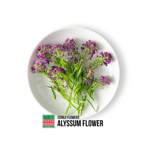 Edible Alyssum Flower