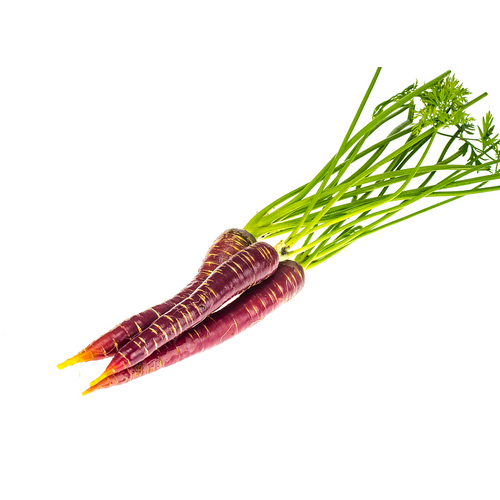 Organic Purple Carrot