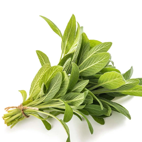 Sage Bunch
