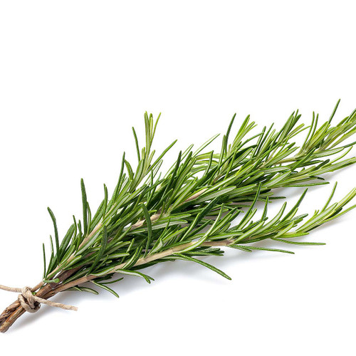 Organic Rosemary