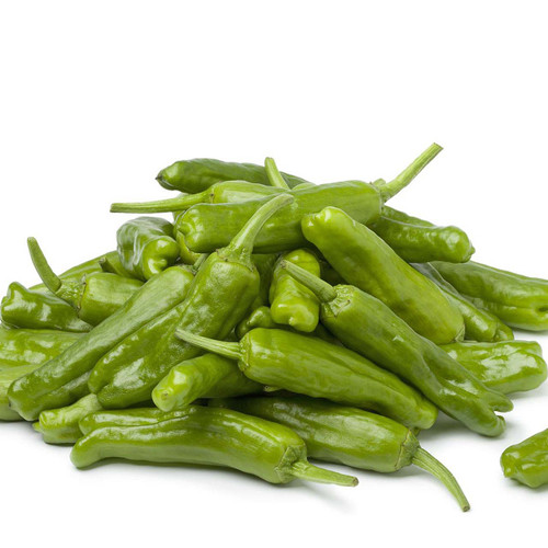 Organic Shishito Pepper