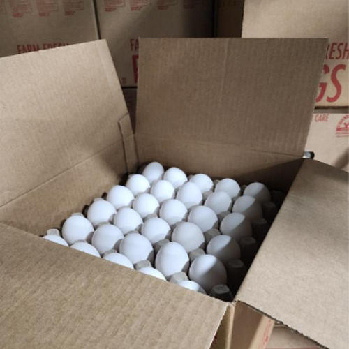 Large Cage Free AA LS White Egg