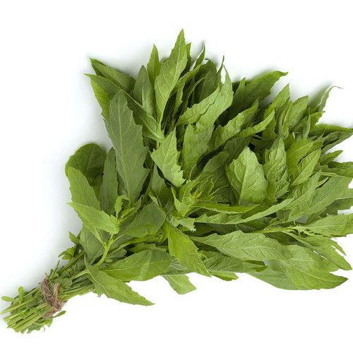 Epazote Bunch
