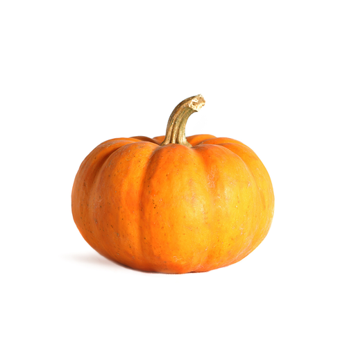 Pumpkin Small
