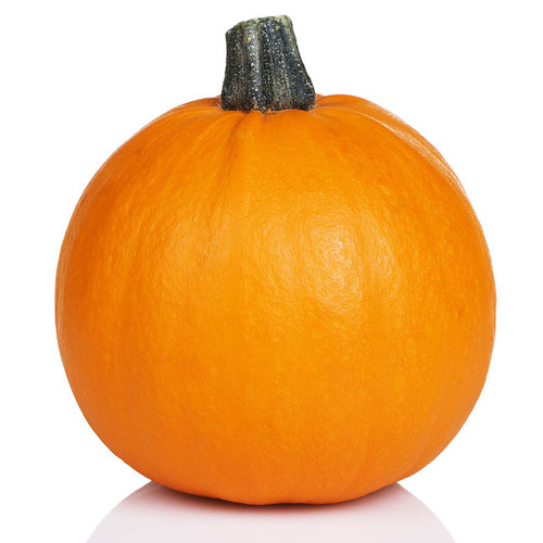 Pumpkin Medium Pumpkin Medium
