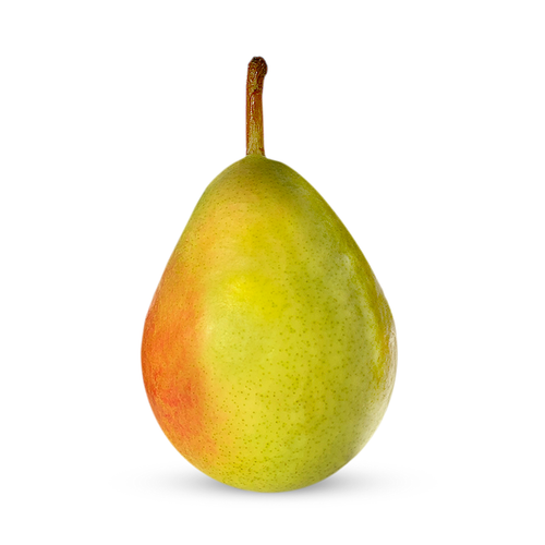 Gem Pear