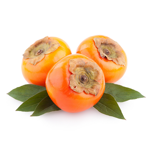 Hyakume Persimmon