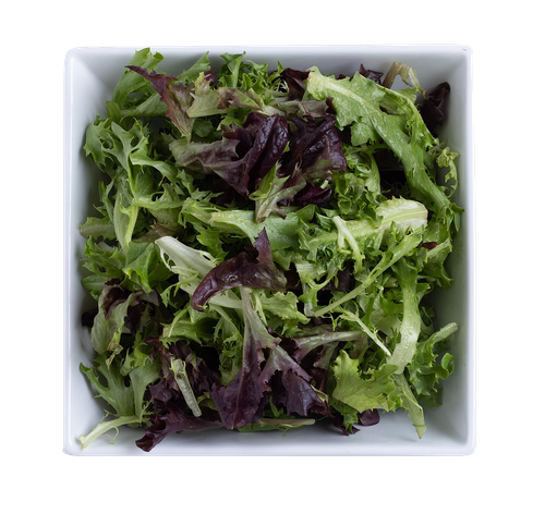 Original Tuscan Lettuce