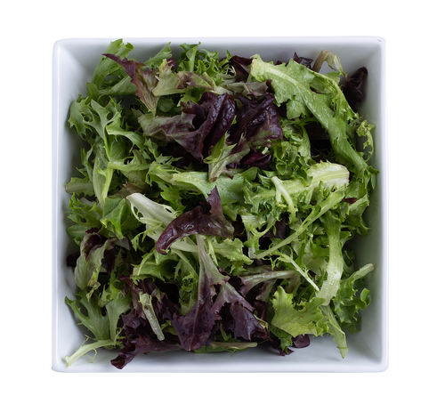 Original Tuscan Lettuce Original Tuscan Lettuce