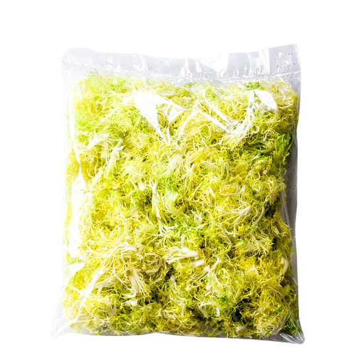 Frisee Lettuce Platinum