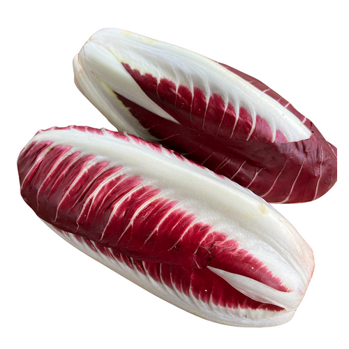 Italian Treviso Radicchio