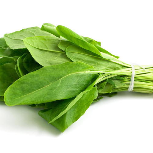 Sorrel