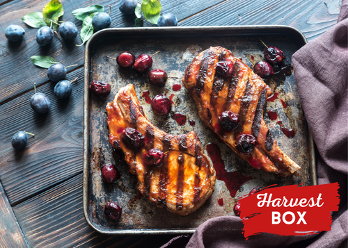 Grilled Pork Chops with Plum Chutney 