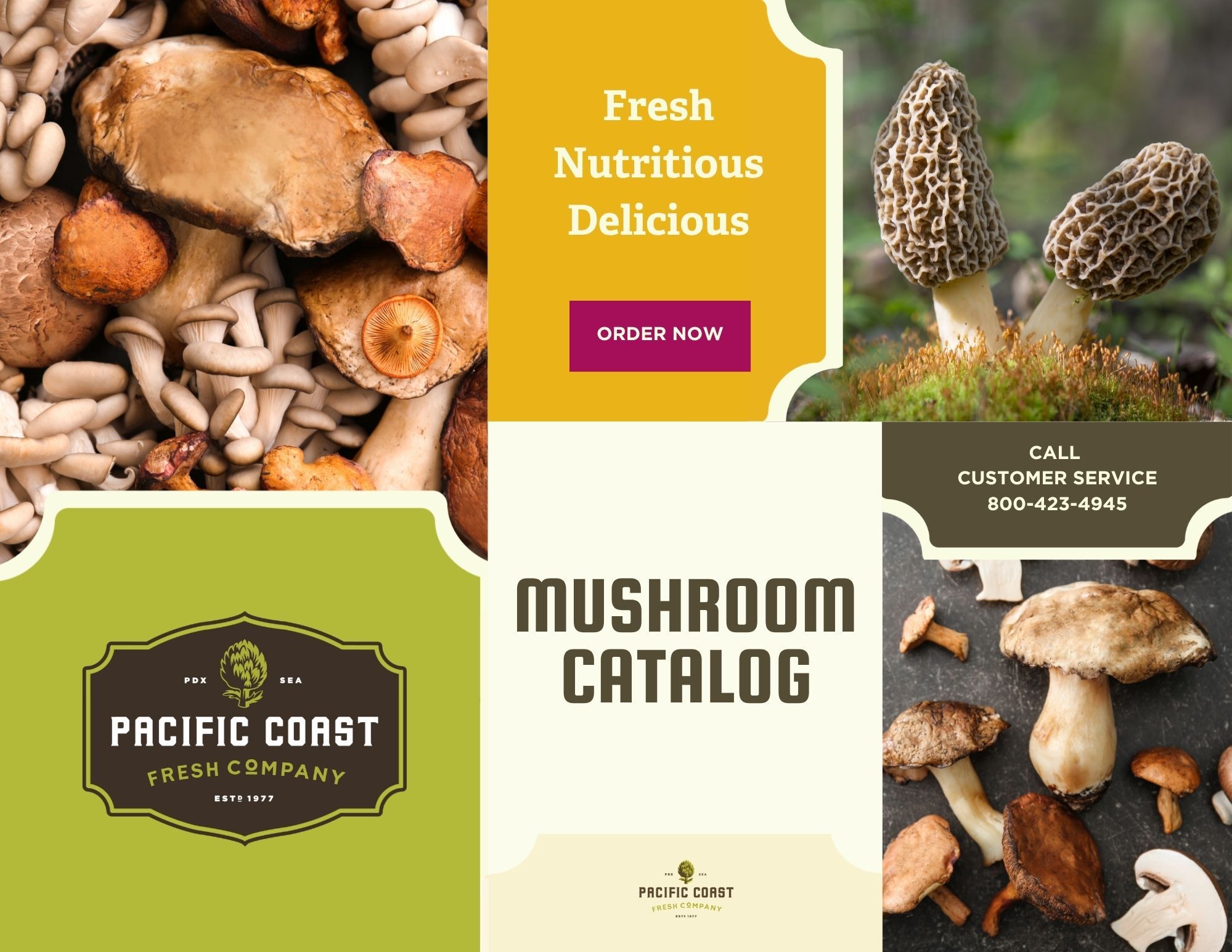 Mushrooms