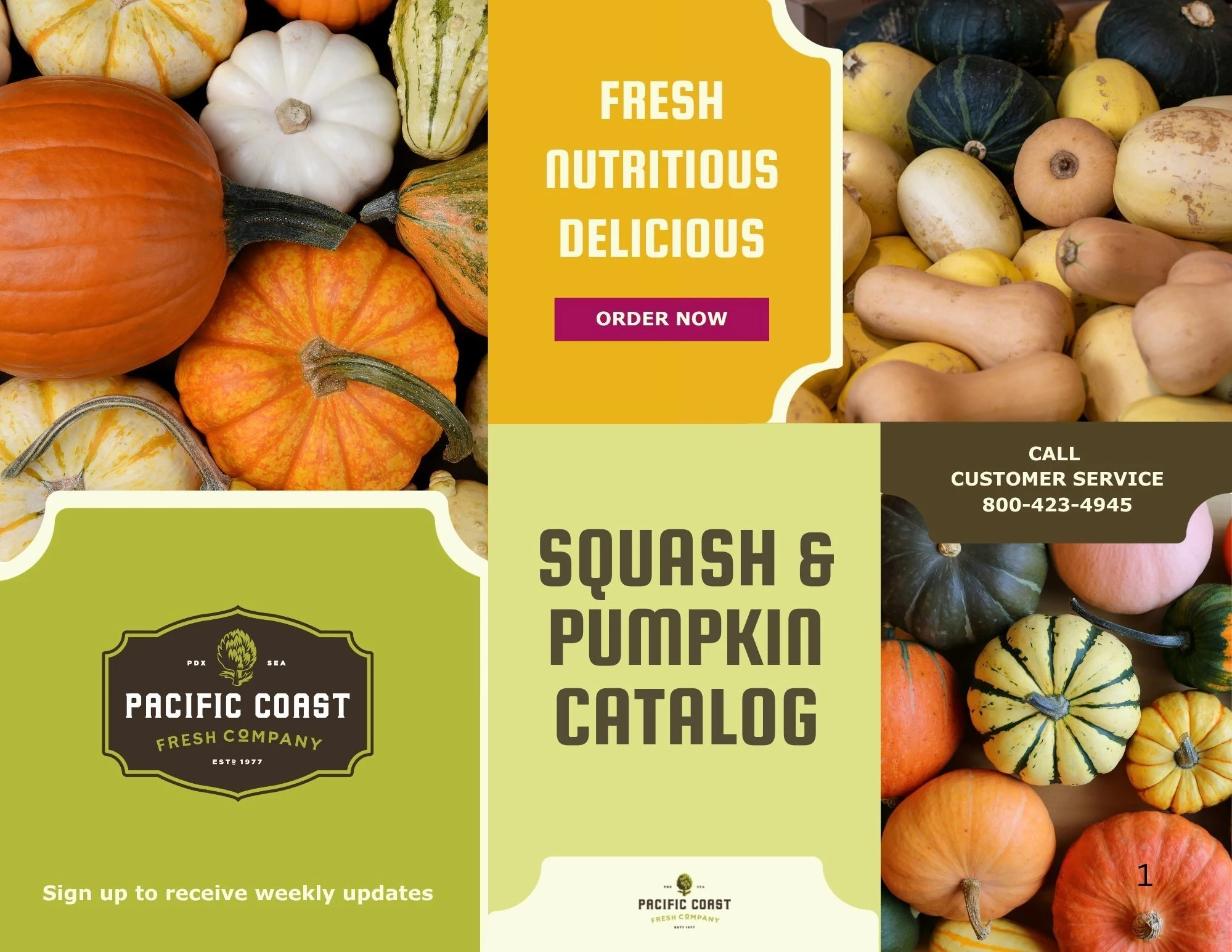 Squash and Pumpkins