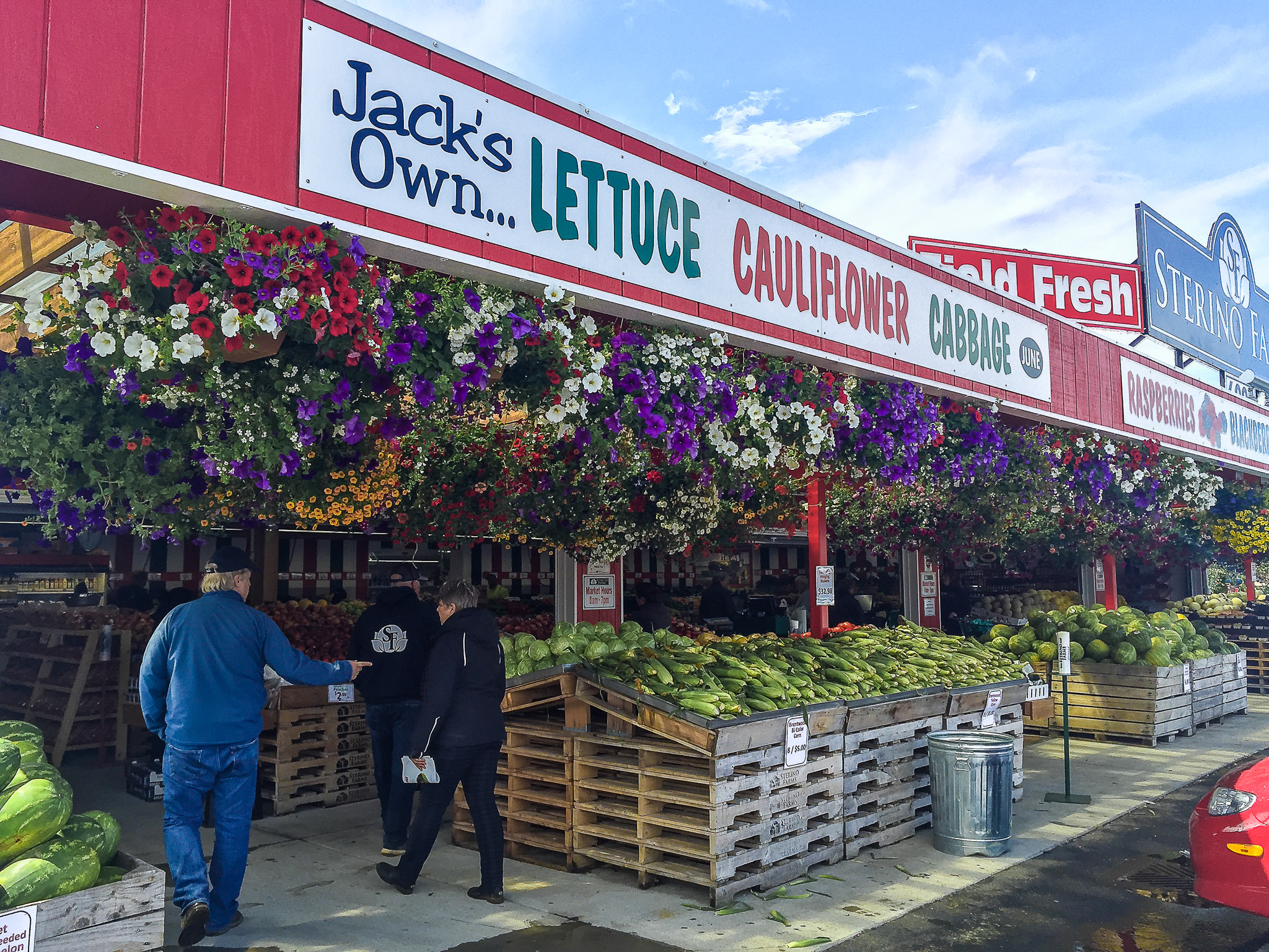 Sterino Farms Products Pacific Coast Fresh Co.