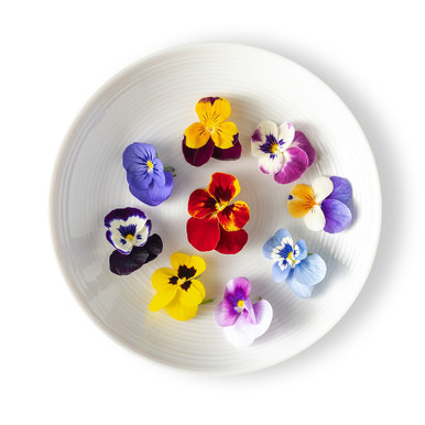 その他 flower MICPUM006 | Edible Flower Viola Mix (50CT) - Pacific Coast Fresh Co.