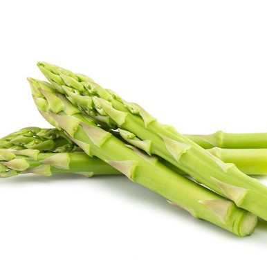 ASPARAGUS 「#1 / モメント」 Asparagus Beeswax Taper Candles