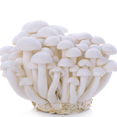 thumbnail__80591.1750956388.