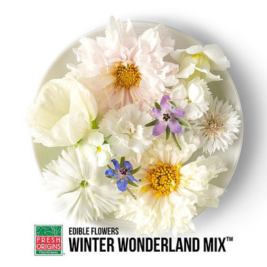 即購入不可 海外フラワーメモmix FLOWIN050WON | Winter Wonderland Flower Mix (50CT) - Pacific Coast