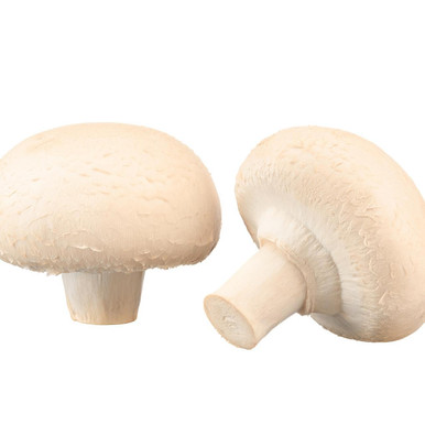 4176 mushroom 820mm×750mm new MUS012OR | Organic Whole White Mushroom (12/8OZ) - Pacific Coast