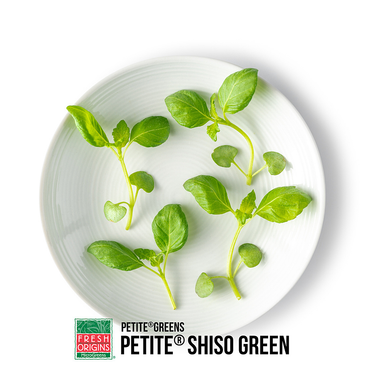 MICSHI04ZPET | Petite Green Shiso (4OZ) - Pacific Coast Fresh Co.