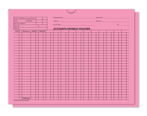 Accounts Payable Voucher Envelopes - 500 Per Box - Form #DSA-540=Pink