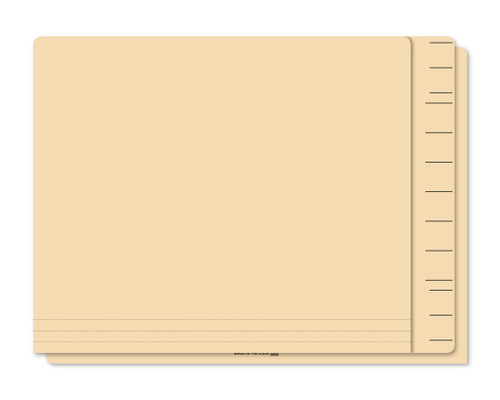 FILE RIGHT Color-Code File Folders - Blank  (Box of 100)