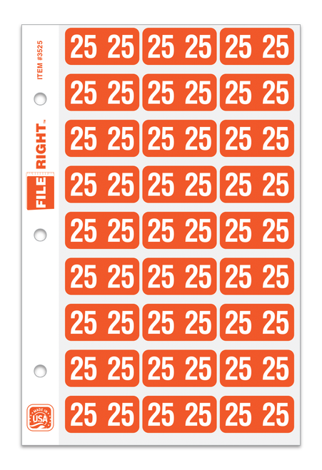 FILE RIGHT: Color-Code Years - Ringbook w/1 set of 270