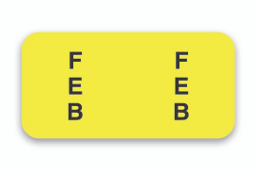 FILE RIGHT Color-Code Month Labels-Ringbook w/270 labels - Month  Feb