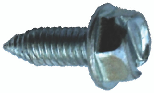 License Plate Screws (Slotted Hex Head - Metric)  QTY: 100