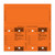 Blank Solid ORANGE ConsecuTAGS - QTY. 125 per box w/rings