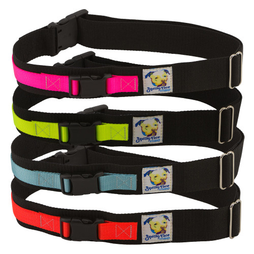 dog walk belt