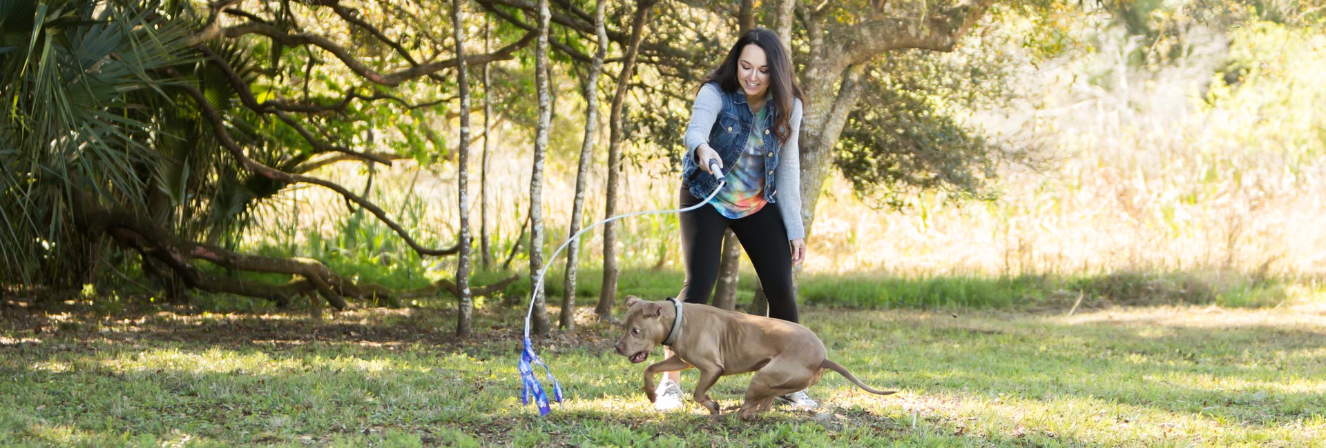 Flirt Pole, Dog Chase Exercise Toy from Squishy Face Studio – Pet Expertise