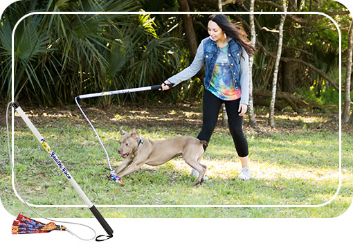 Flirt Pole, Dog Chase Exercise Toy from Squishy Face Studio – Pet Expertise