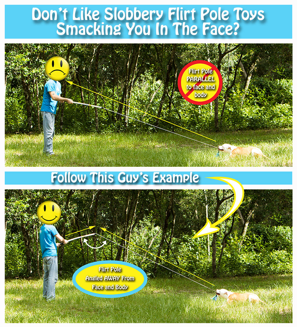 DIY flirt pole - easy, low tech dog exercise toy! 