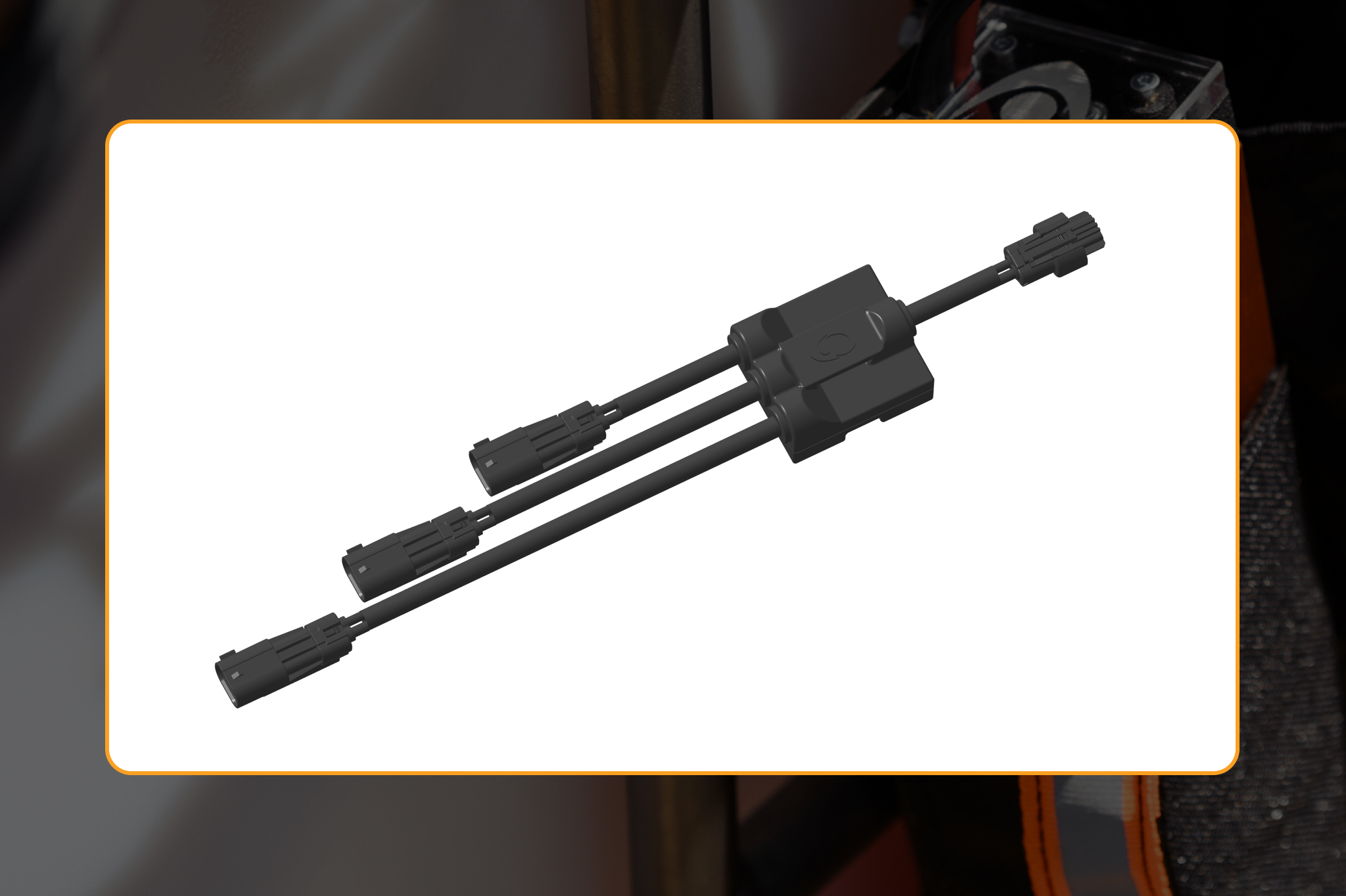 acc403-vitto.jpg