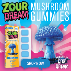 Zour Dream Mind Melting Mushroom Gummies, 5pk