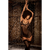 Mapale Kendall Sheer Babydoll Lingerie (#8809)