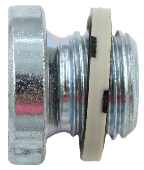 BLANKING PLUG B-1/8 AS PER DIN - 100620222