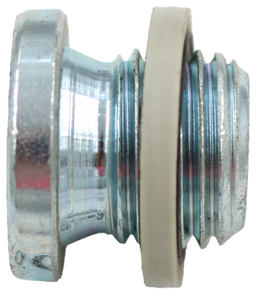 BLANKING PLUG B-1/4 AS PER DIN - 100620221
