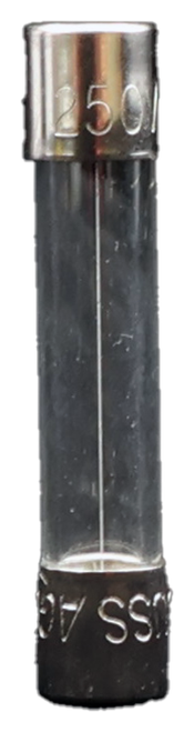 2501 
 SS AG
