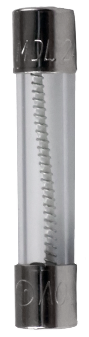 FUSE - GLASS, 2A, 250VAC, 0.25 - 100498455