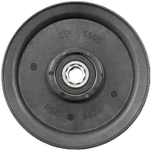 5000 
 CIP 
 188 
 250